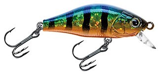 Mini Shad color 