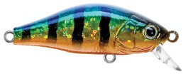 Mini Shad color 04