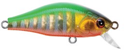 Mini Shad color 12