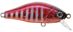 Mini Shad color 13