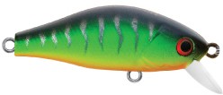 Mini Shad color 17