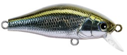 SP Mini Shad color 24