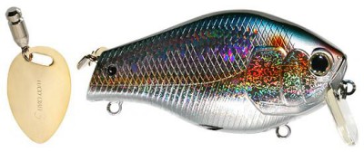 Bull Fish color american shad