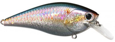 Fat CB B.D.S. color american shad