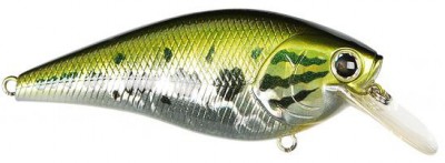 Fat CB B.D.S. color aurora bass