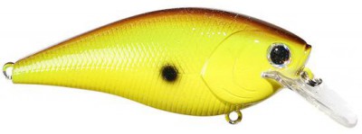 Fat CB B.D.S. color caramel apple