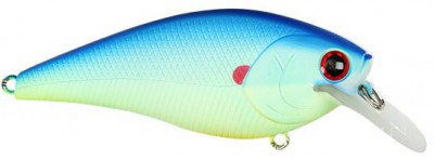 Fat CB B.D.S. color chart light blue