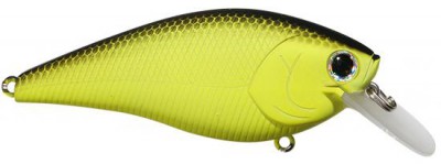 Fat CB B.D.S. color chartreuse black