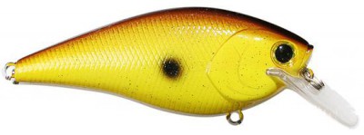 Fat CB B.D.S. color chartreuse rootbeer