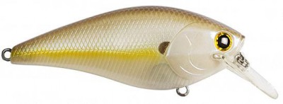 Fat CB B.D.S. color chartreuse shad