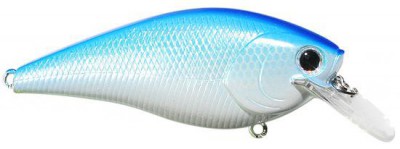 Fat CB B.D.S. color citrus shad