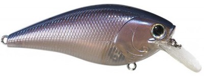 Fat CB B.D.S. color ghost pro blue