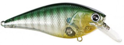 Fat CB B.D.S. color ghost sun fish