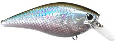 Fat CB B.D.S. color ms mj herring