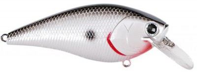 Fat CB B.D.S. color original tennessee shad