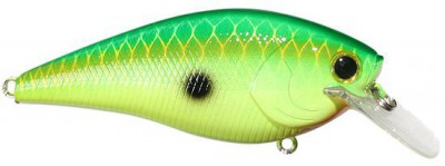 Fat CB B.D.S. color peacock