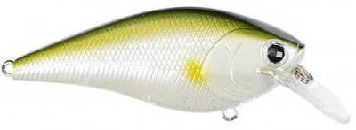 Fat CB B.D.S. color pearl ayu