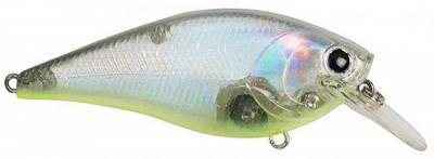 Fat CB B.D.S. color skeets magic