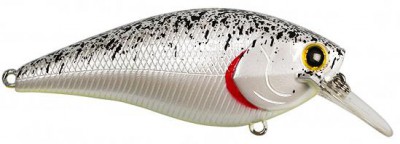 Fat CB B.D.S. color splatter back