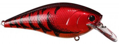 Fat CB B.D.S. color spring craw