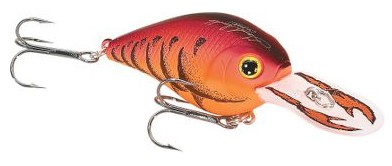 Fat CB G.D.S. Mini DR color 