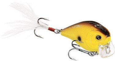 Fat CB G.D.S. Mini SSR color 