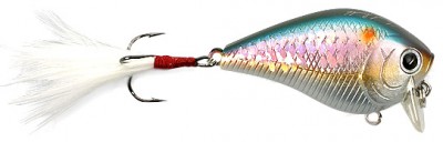 Fat CB G.D.S. Mini SSR color american shad