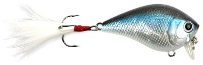 Fat CB G.D.S. Mini SSR color aurora black