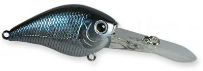 Fat Mini D-7 color aurora black