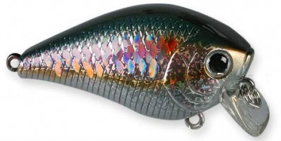 Fat Mini SR color american shad