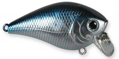 Fat Mini SR color aurora black