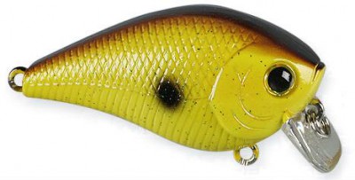 Fat Mini SR color chartreuse rootbeer