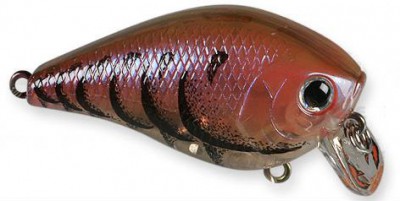 Fat Mini SR color japan craw