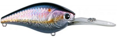Flat CB color american shad