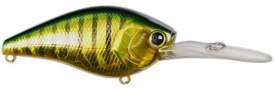 Flat CB color aurora green perch