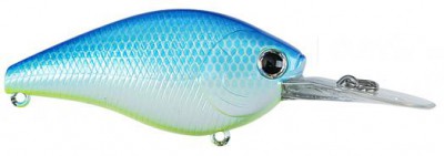Flat CB color citrus shad