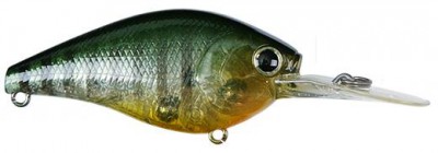 Flat CB color ghost sun fish