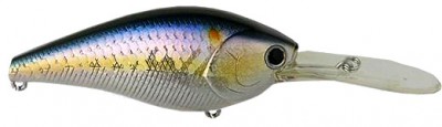 Flat CB D-12 color american shad