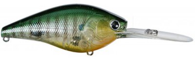 Flat CB D-12 color ghost sun fish