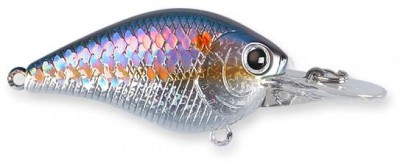 Flat Mini MR color american shad