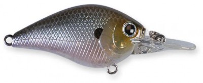 Flat Mini MR color ghost minnow