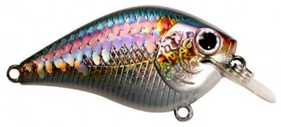 Flat Mini SR color american shad