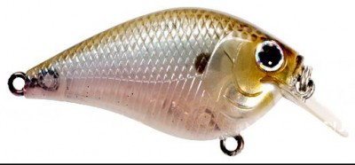 Flat Mini SR color ghost minnow