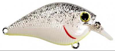 Flat Mini SR color splatter back