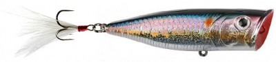G-Splash Popper color american shad