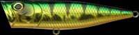G-Splash Popper color aurora green perch