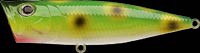 G-Splash Popper color frog