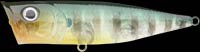 G-Splash Popper color ghost sunfish