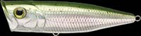 G-Splash Popper color laser rainbow trout