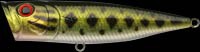 G-Splash Popper color northern large mouth bass